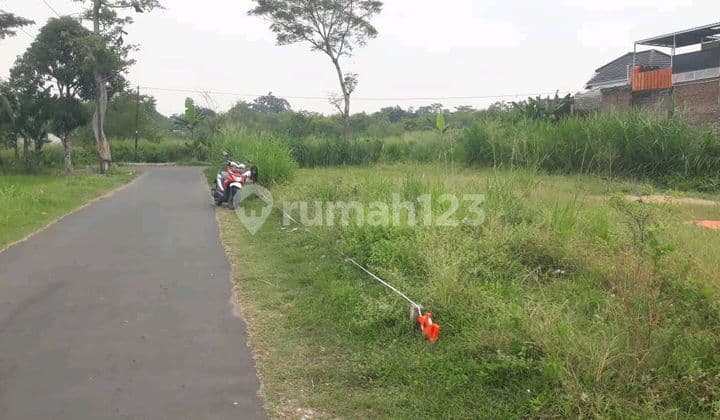 Tanah Super Murah Dekat Kampus Ugm Dan Uii Di Jalan Kaliurang Km 10