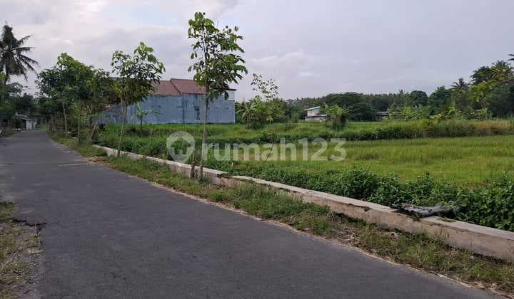 Tanah Super Istimewa Dan Murah Di Pakem