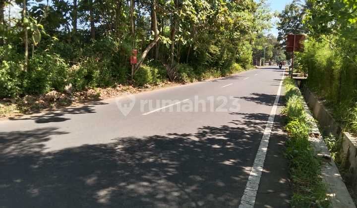 Tanah Super Murah Di Bodobudur