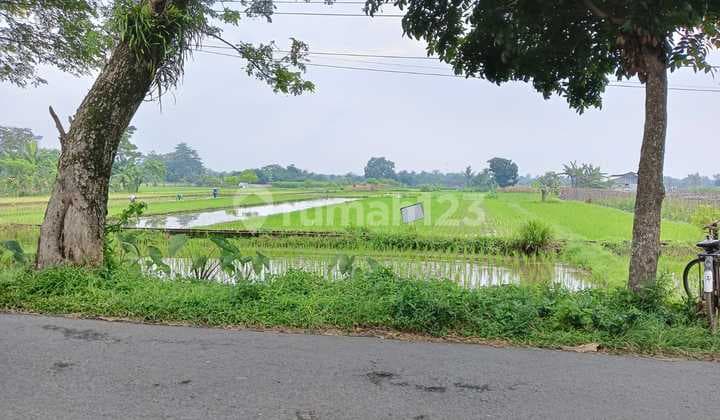 Super Cheap Land South of Sleman Regency Flory Village