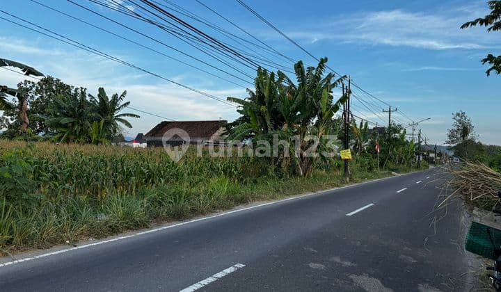 Tanah Super Istimewa di Jalan Manisrenggo