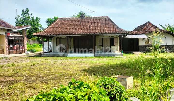 Tanah Super Murah di Tlogoadi Mlati