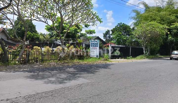 Tanah Super Istimewa dan Murah Dekat Pemda Sleman