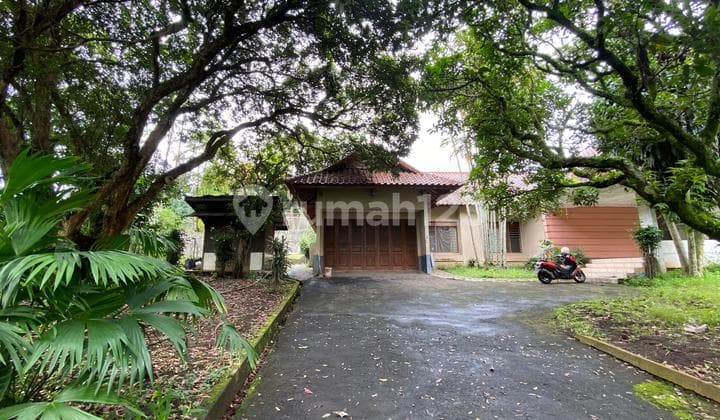 Rumah Ciumbuleuit Lokasi Premium Hitung Tanah