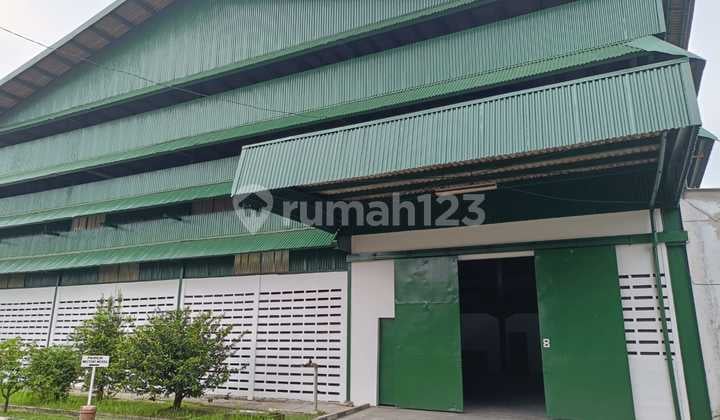 Gudang Rapih Siap Pakai Jurumudi Baru Tangerang