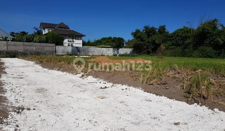 Tanah Kavling Siap Bangunan Dekat Pantai Ketewl