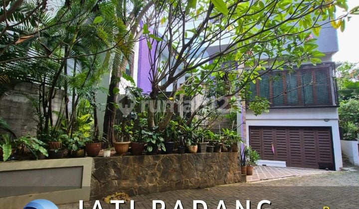 Rumah Jatipadang Jual Under Harga Pasaran
