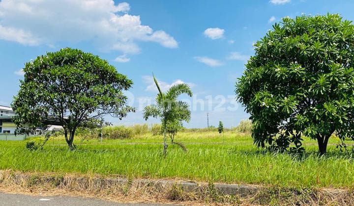 Land For Sale In Surya Cipta Industrial Area Karawang