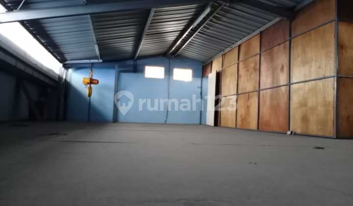 Dijual Gudang Elang Laut Pik Siap Pakai