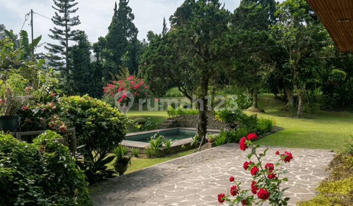 Tanah di Cisarua Puncak Bogor