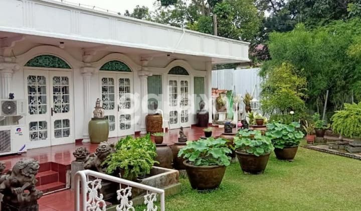 Old House for Sale, Land Area Calculated