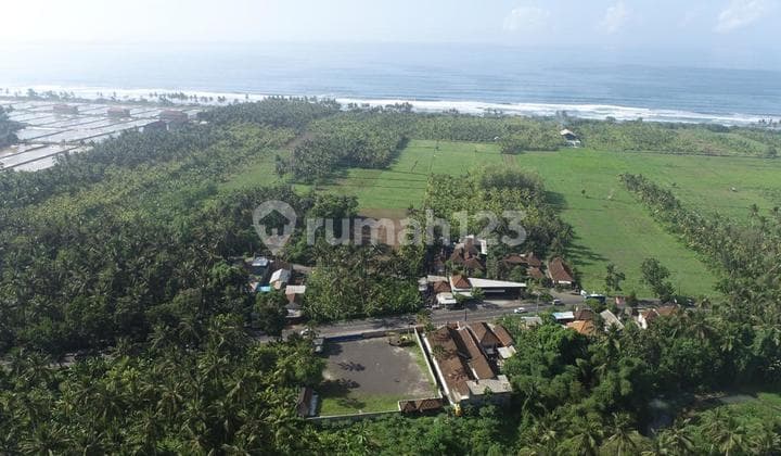 Beachfront Land in Pekutatan Bali