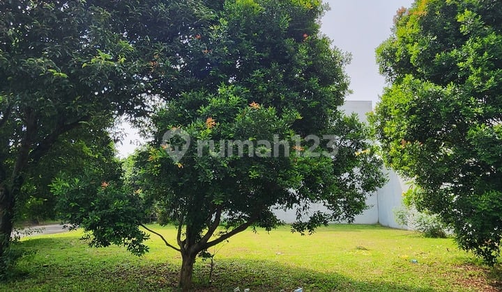 Bagusss Banget Ini Kavling Kotak Hoek Di Cluster Rindang Kawasan Green Tunnel Alam Sutera