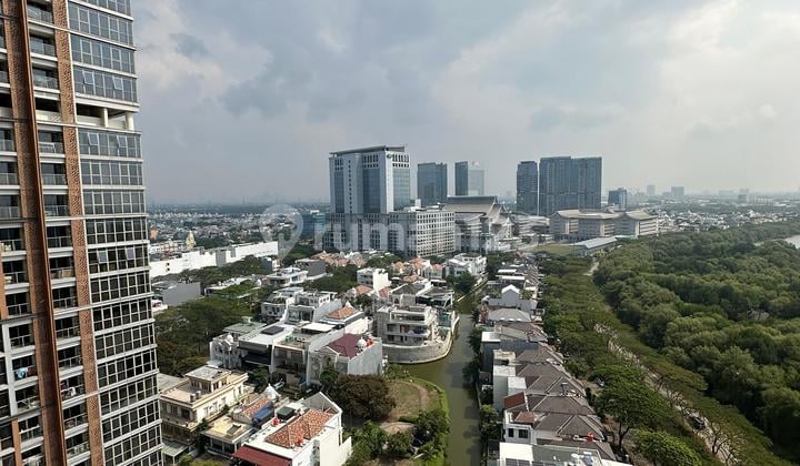 Jual Murah Apt Gold Coast Pik Luas 58 Type 2br Nego Sampai Deal