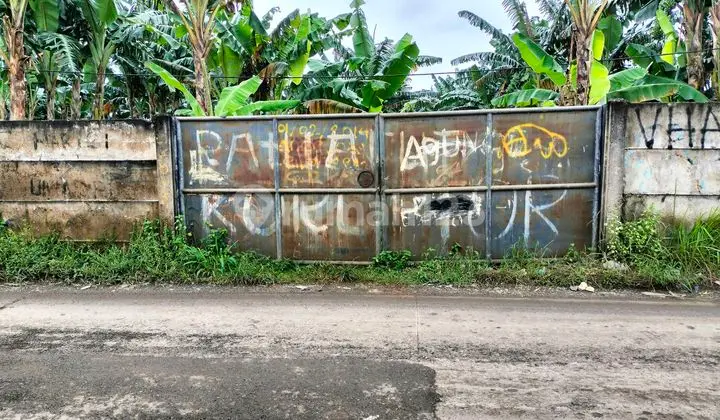 Jual Cepat Tanah Maloko Cisauk Tangerang