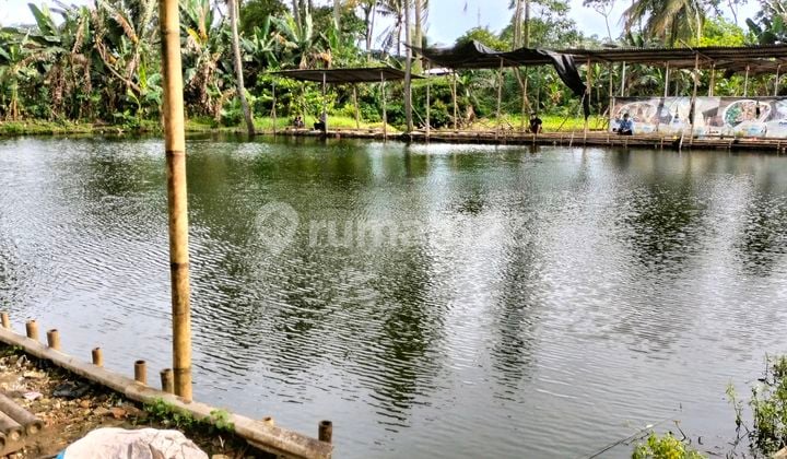 Sewa Cepat Tanah Kolam Pemancingan Budidaya Ikan dan Wisata