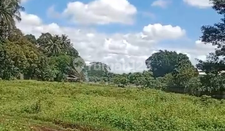 Tanah Jual Cepat Cisauk Tangerang