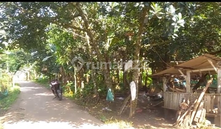 Tanah Jual Cepat Putat Nutug Ciseeng Bogor