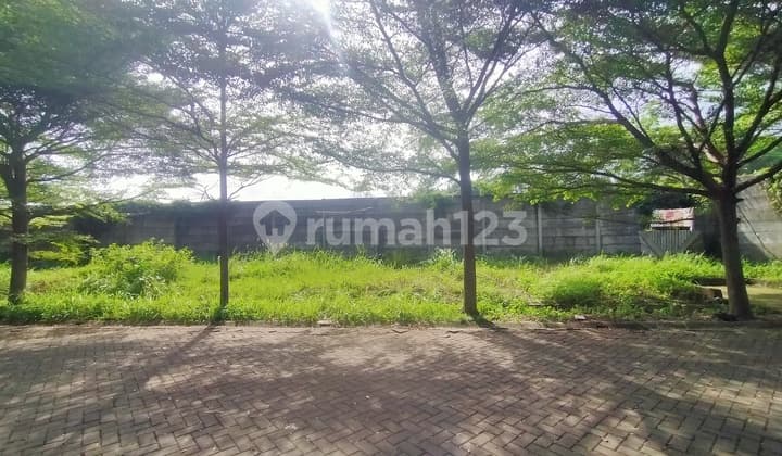 Investasi Kavling Harga Miring 15x24 Hadap Timur Intercon Pasti Untung