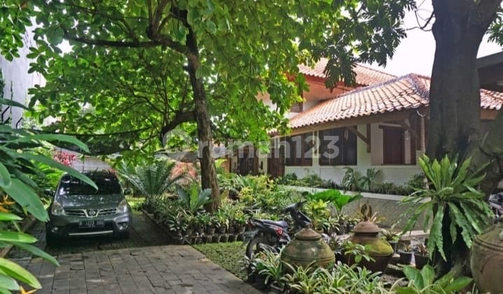 Rumah asri harga miring lt 1029mtr Cipedak Jagakarsa jarang ada Jakarta Selatan