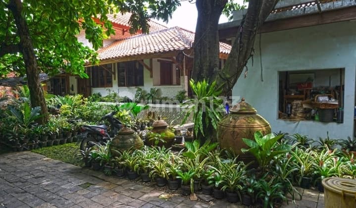 Huniyan termurah lt 1029mtr asri nyaman jarang ada Cipedak Jagakarsa SHM