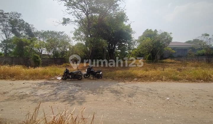 Corner lot Intercon cheap price, first floor 1118 sqm, Intercon cheap, rare opportunity.