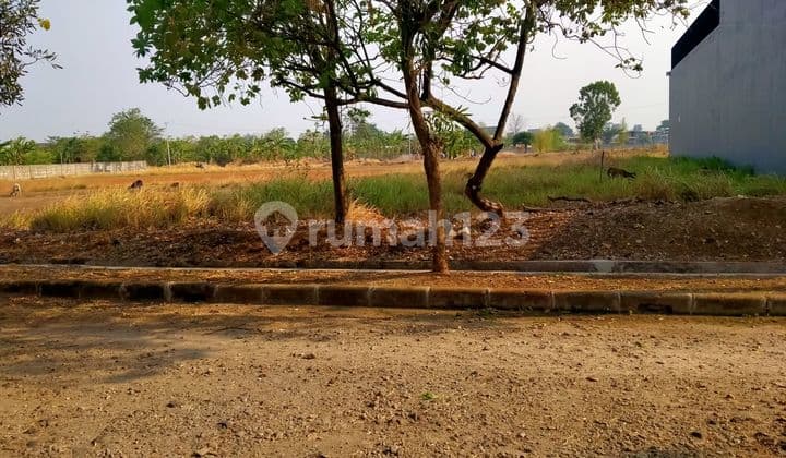 Kavling Di Obral Murah Nyaman Lt 760mtr Intercon Beli Langsung Untung