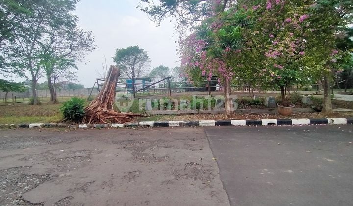 Kavling Hoek Di Obral Murah Lt 960mtr Asri Intercon Jarang Ada Langka