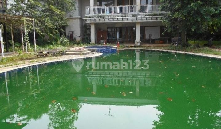 Swimming Pool House Cheap Price 2892sqm Land Pondok Labu SHM South Jakarta