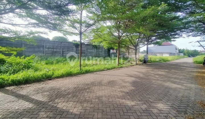 Investasi Kavling Harga Miring 15x24 Hadap Timur Intercon Jarang Ada