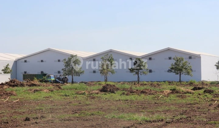 DIJUAL KAVLING LAKSANA BUSINESS PARK, TANGERANG
