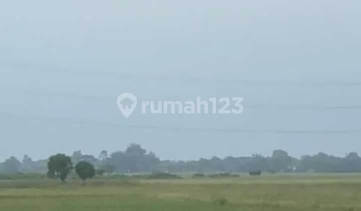 Dijual Tanah di Sukamekar Bekasi, Luas 2ha