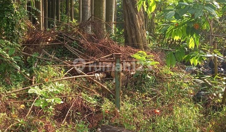 Dijual tanah dicikarang