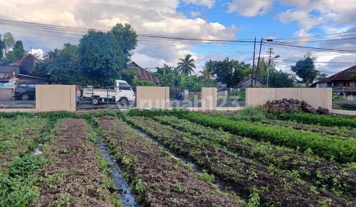 Dijual Tanah Dilokasi Strategis Disulawesi Utara