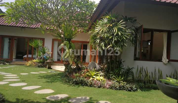 Jual Rumah Furnished Tepi Sungai Suasana Pedesaan