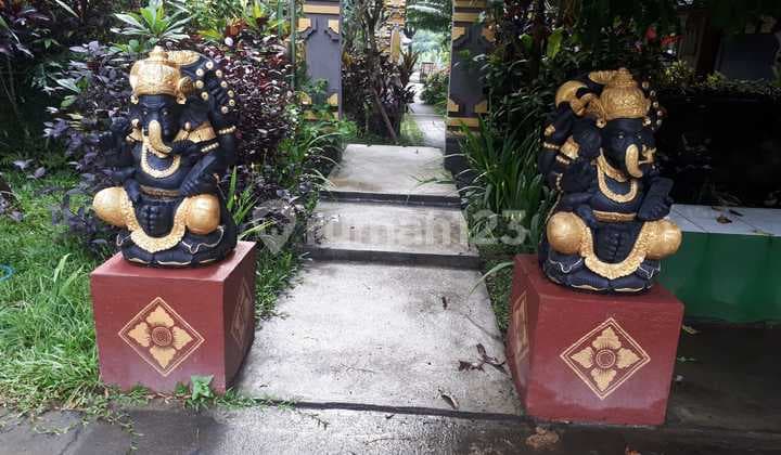 Cheap Villa Rental in Tegallalang Ubud Bali