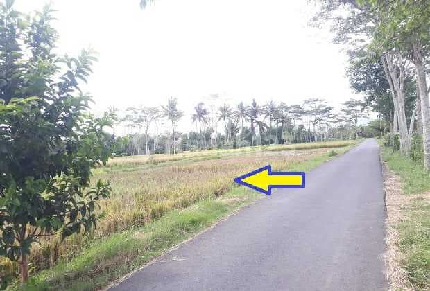 Tanah 0 Jln Aspal Pakisaji Malang