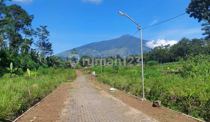 Tanah Kavling Lawang View Gunung Arjuna Malang