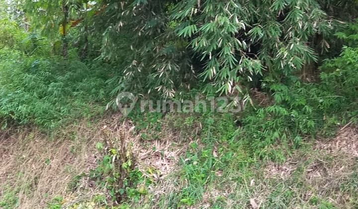 Tanah Murah Upslope di Perumahan Cipaku Dekat Kolam Renang