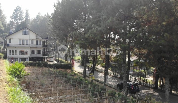 Tanah Murah Vila Istana Bunga Lembang Bandung