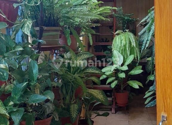 Rumah Dijual Dalam Perumahan Di Wirokerten Banguntapan Bantul Yogyakarta