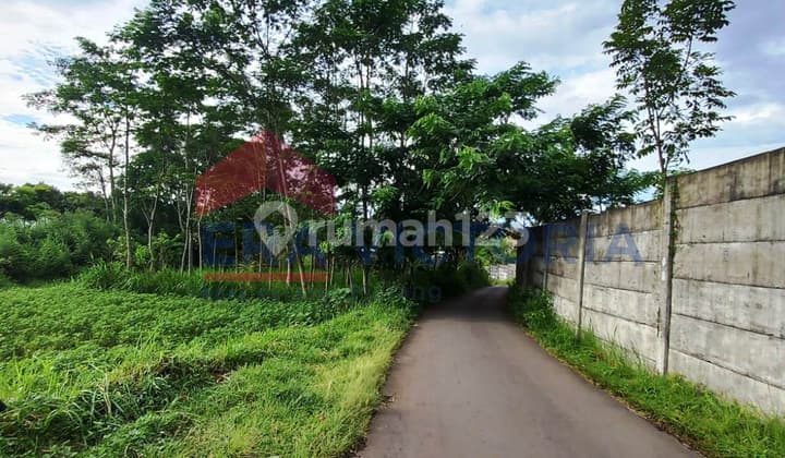 Tanah Kavling Dekat Pabrik Nivea Di Randuagung Singosari Malang