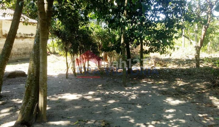 Dijual Tanah Tegalan Sumberejo Gampengrejo Kediri Dekat Candi Totokerot