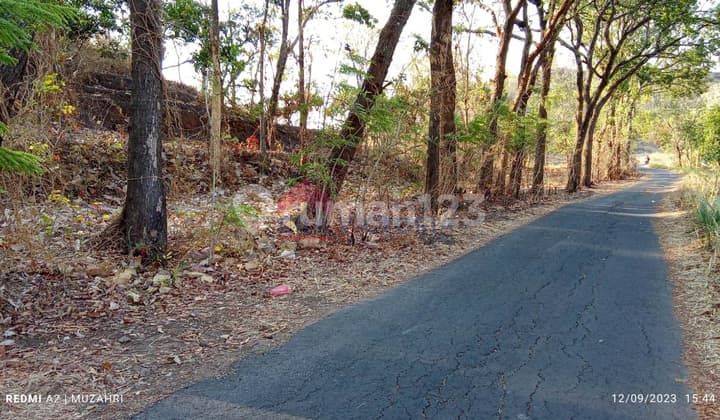 Dijual Tanah Lokasi Perbukitan Area Banyakan Kediri Untuk Perkebunan