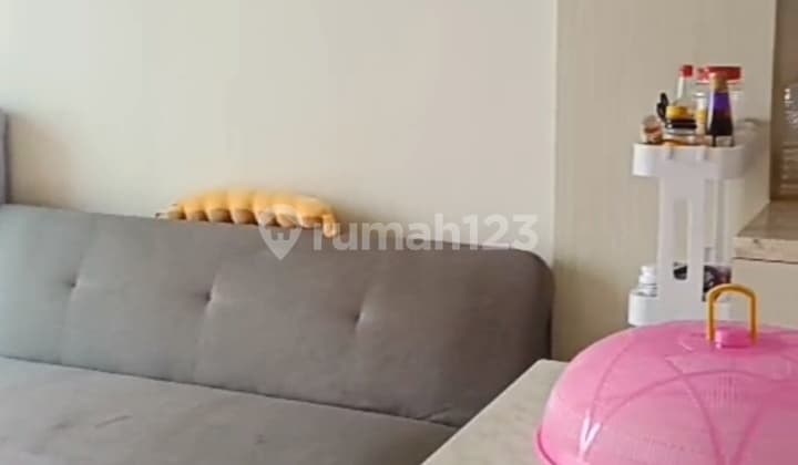 For Rent Cityhome Moi Apartment – San Francisco Tower