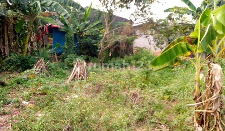 Jual Cepat Sampai Deal Nego Tanah 291 SHM di Bantar Gebang Bekasi
