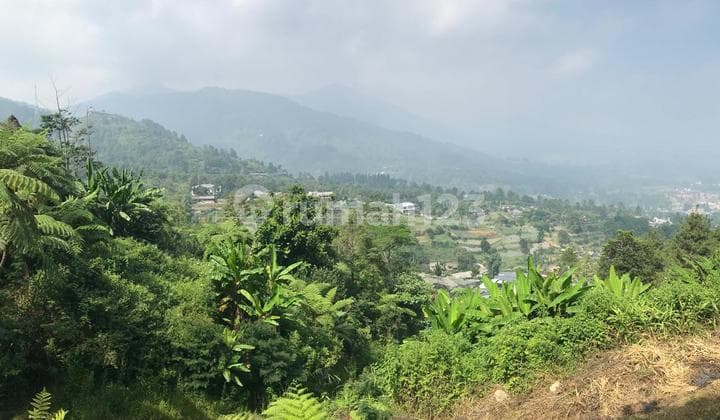 Dijual Butuh Cepat Tanah di Puncak 9000 M2 Cocok untuk Vila