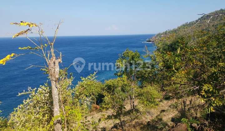 Tanah Tebing Los Pantai Bunutan Karangasem