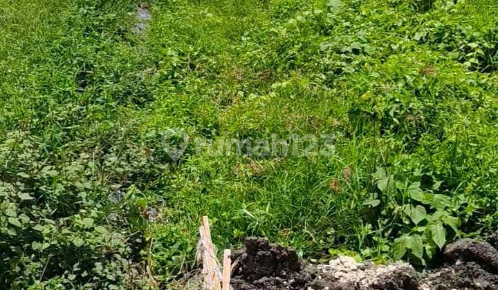 Tanah Lokasi Strategis Dekat Pererenan Cocok Untuk Villa