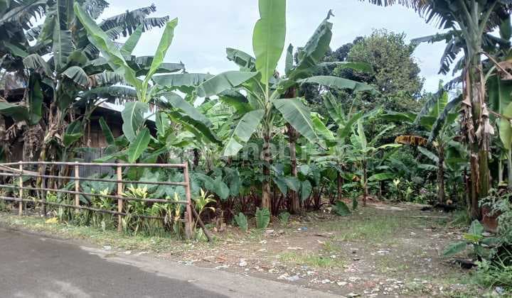 Tanah View Bukit Hambalang Dekat Perumahan Griya Alam Sentul